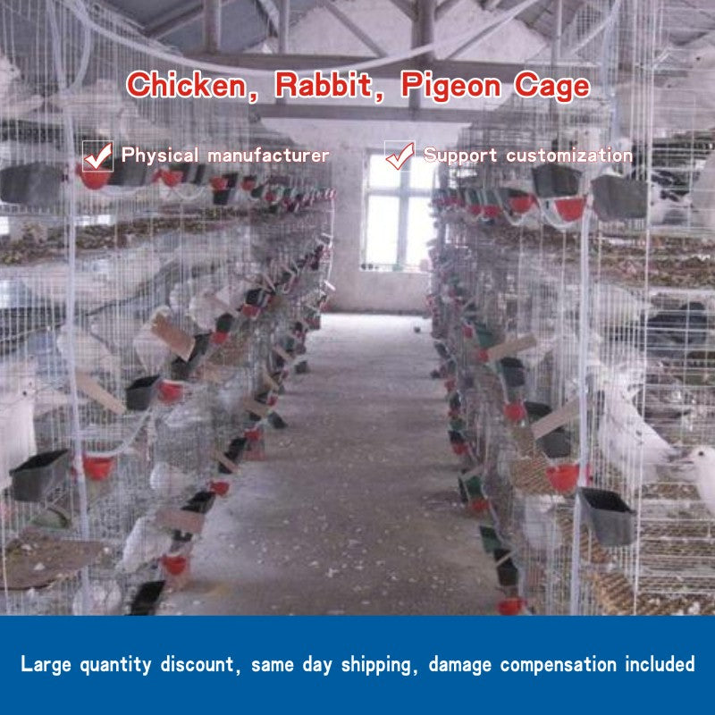 Chicken, Rabbit, Pigeon Cage