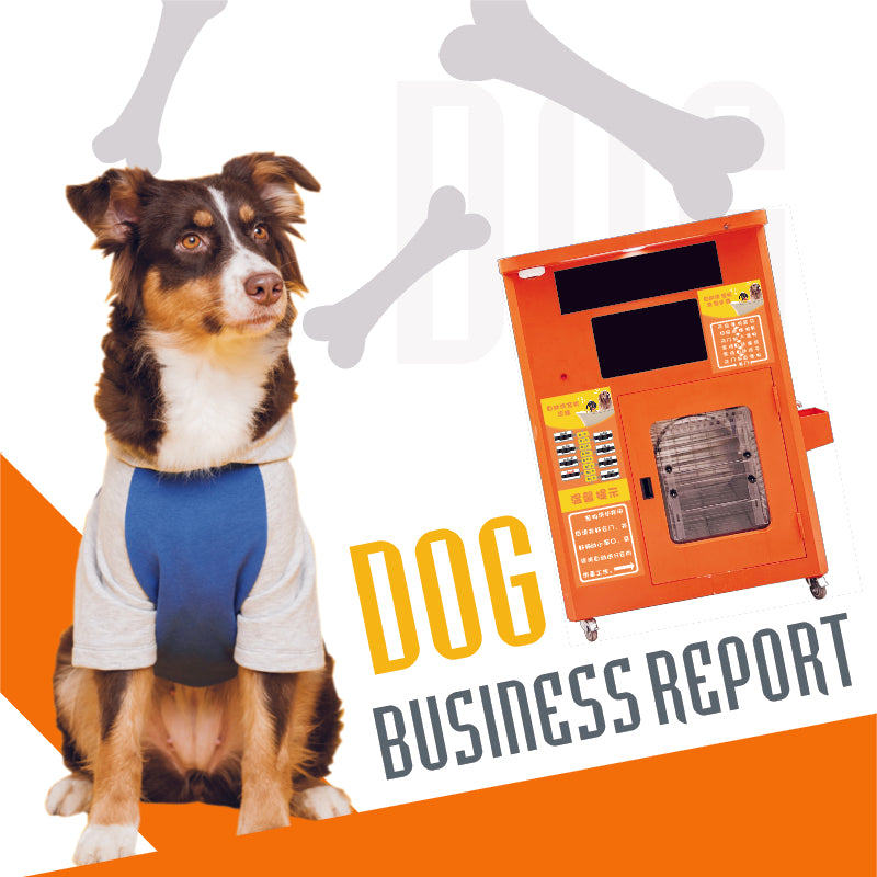 Unmanned self-service pet washing machine