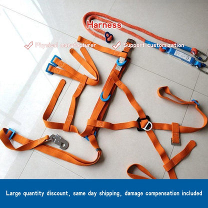 Harness