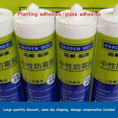 Planting adhesiveglass adhesive